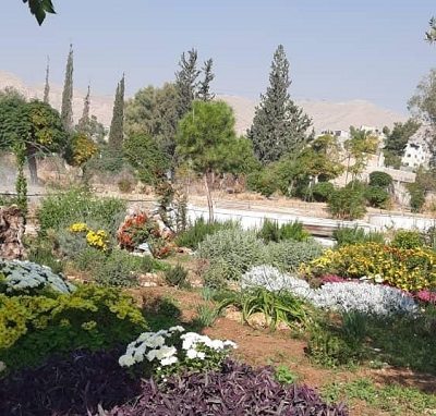 مركز المكافحة الحيويةـ جامعة دمشق