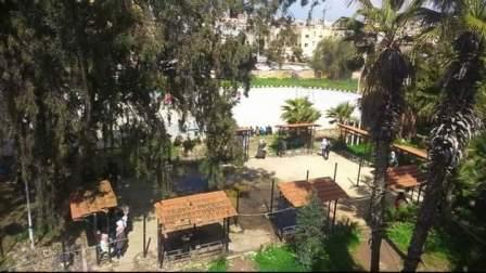 صور من الكلية